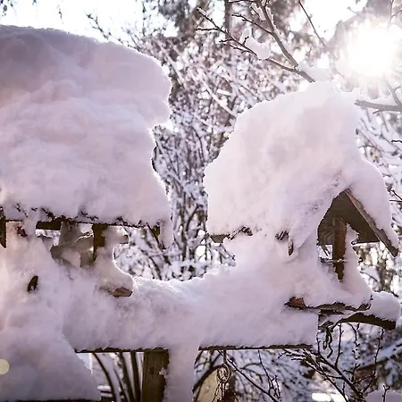 Kunstloft - Atelier Der Auszeit * Marienberg