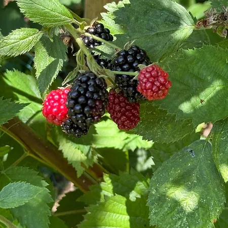 Kunstloft - Atelier Der Auszeit Apartment *