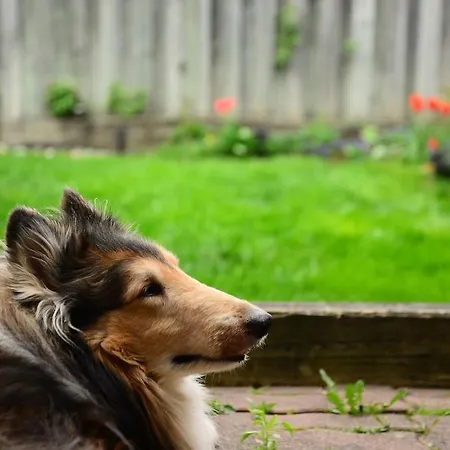 Apartment Kunstloft - Atelier Der Auszeit Marienberg