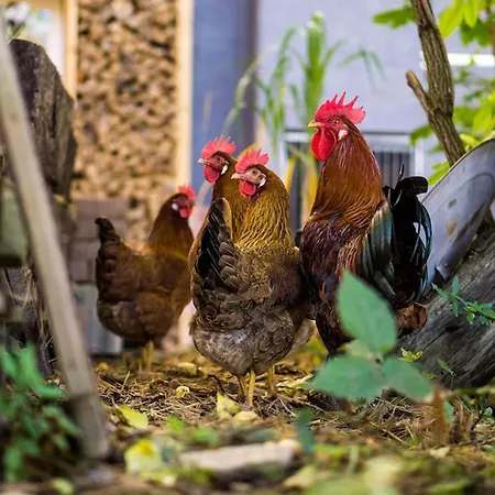 Apartment Kunstloft - Atelier Der Auszeit Marienberg