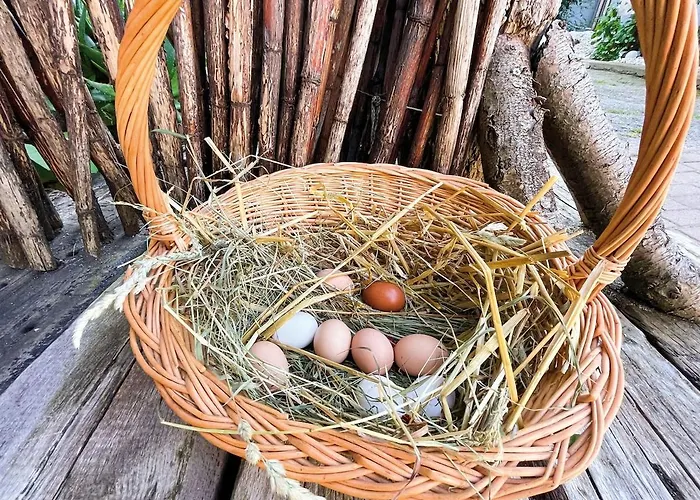 Apartman Kunstloft - Atelier Der Auszeit