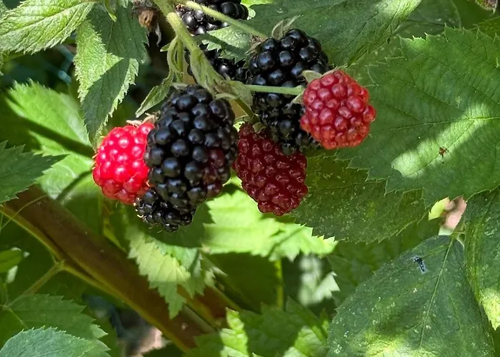 Kunstloft - Atelier Der Auszeit Apartman *