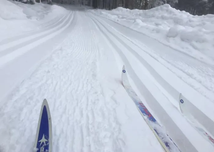 Kunstloft - Atelier Der Auszeit Apartman *