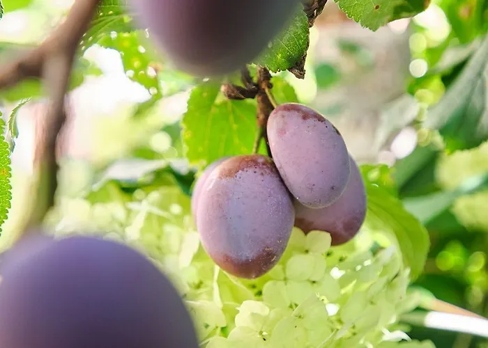 Kunstloft - Atelier Der Auszeit Marienberg