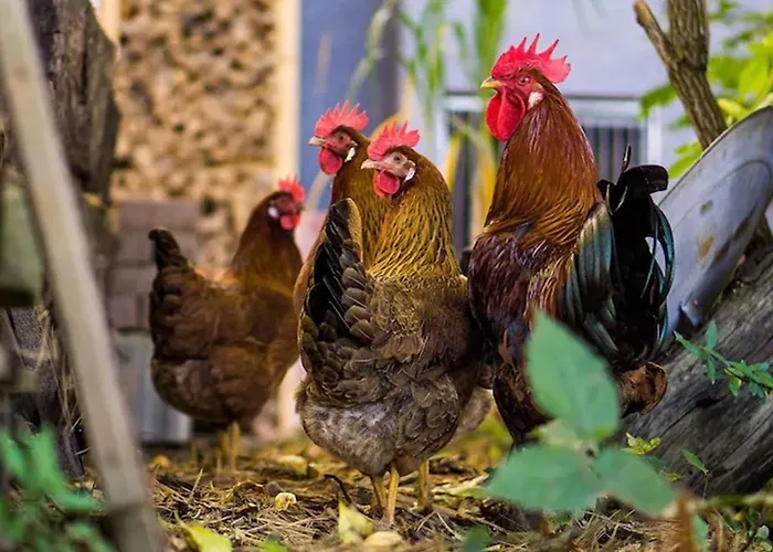 Apartman Kunstloft - Atelier Der Auszeit Marienberg